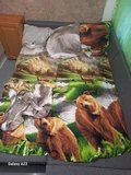 Фото из отзыва покупателя