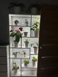 Фото из отзыва покупателя